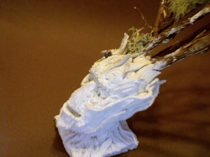 Photo on 2015-09-09 at 17.23 #2