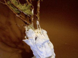 Photo on 2015-09-09 at 17.23 #3