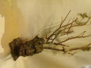 Photo on 2015-09-14 at 16.54